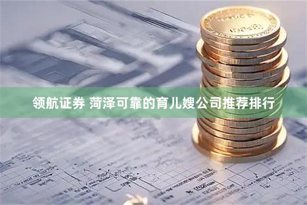 领航证券 菏泽可靠的育儿嫂公司推荐排行